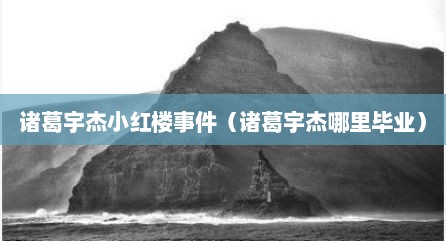 诸葛宇杰小红楼事件（诸葛宇杰哪里毕业）