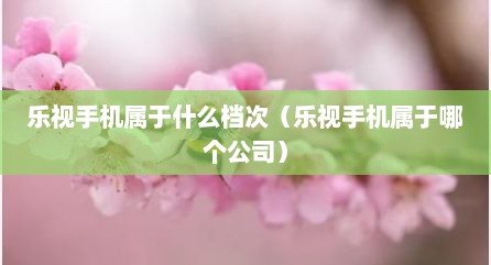 乐视手机属于什么档次（乐视手机属于哪个公司）