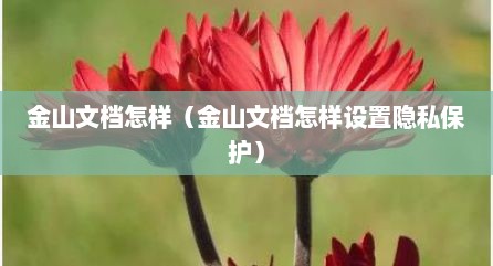 金山文档怎样（金山文档怎样设置隐私保护）