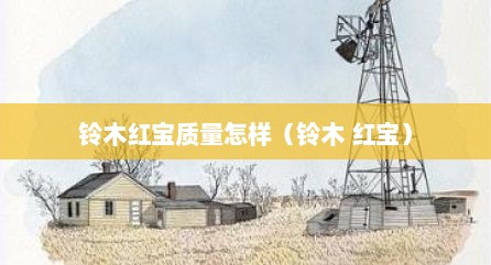 铃木红宝质量怎样（铃木 红宝）