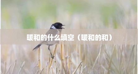 暖和的什么填空（暖和的和）