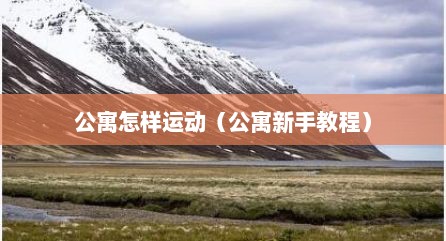 公寓怎样运动（公寓新手教程）