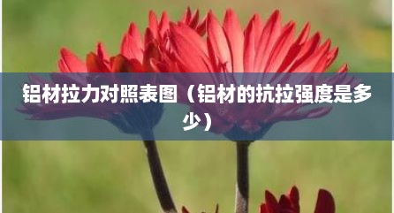 铝材拉力对照表图（铝材的抗拉强度是多少）
