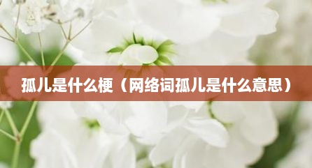 孤儿是什么梗（网络词孤儿是什么意思）