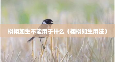 栩栩如生不能用于什么（栩栩如生用法）
