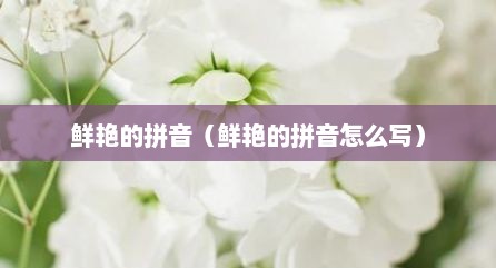 鲜艳的拼音（鲜艳的拼音怎么写）