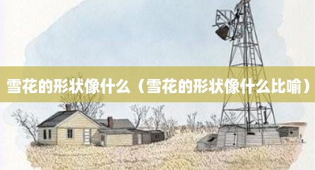 雪花的形状像什么（雪花的形状像什么比喻）