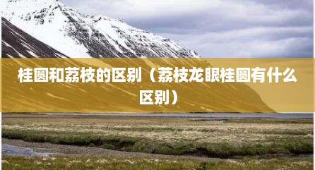 桂圆和荔枝的区别（荔枝龙眼桂圆有什么区别）