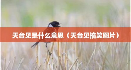 天台见是什么意思（天台见搞笑图片）