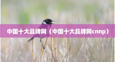中国十大品牌网（中国十大品牌网cnnp）