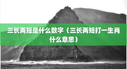 三长两短是什么数字（三长两短打一生肖什么意思）