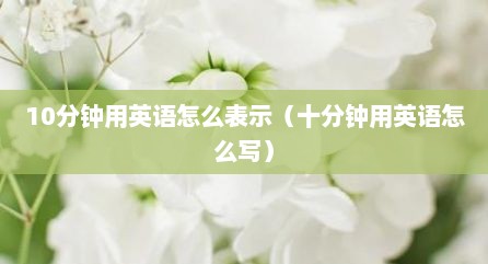10分钟用英语怎么表示（十分钟用英语怎么写）