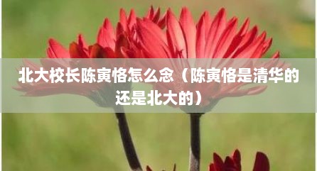 北大校长陈寅恪怎么念（陈寅恪是清华的还是北大的）
