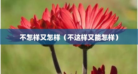 不怎样又怎样（不这样又能怎样）