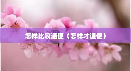 怎样比较通便（怎样才通便）