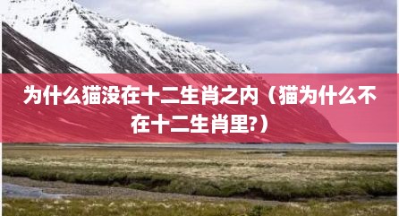 为什么猫没在十二生肖之内（猫为什么不在十二生肖里?）