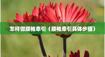 怎样做腰椎牵引（腰椎牵引具体步骤）