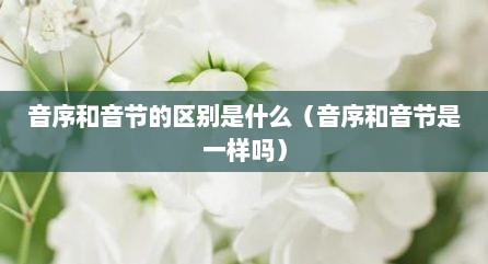 音序和音节的区别是什么（音序和音节是一样吗）