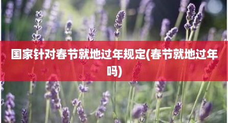 国家针对春节就地过年规定(春节就地过年吗)