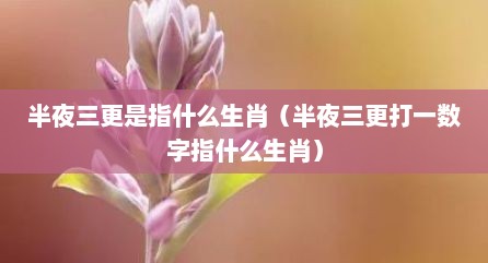 半夜三更是指什么生肖（半夜三更打一数字指什么生肖）