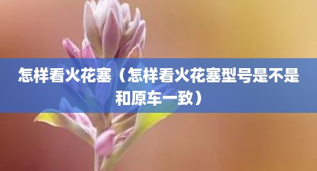 怎样看火花塞（怎样看火花塞型号是不是和原车一致）
