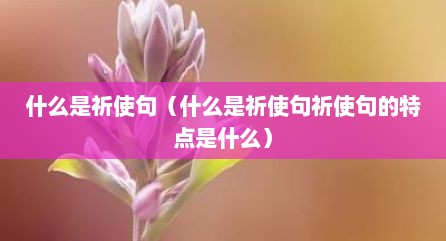 什么是祈使句（什么是祈使句祈使句的特点是什么）