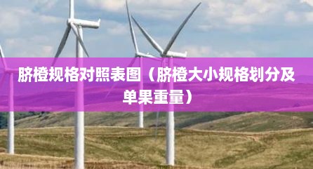 脐橙规格对照表图（脐橙大小规格划分及单果重量）