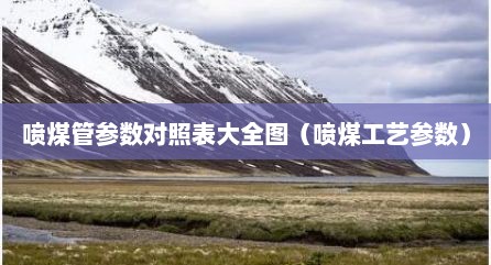 喷煤管参数对照表大全图（喷煤工艺参数）