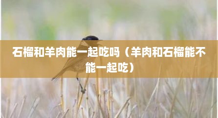 石榴和羊肉能一起吃吗（羊肉和石榴能不能一起吃）