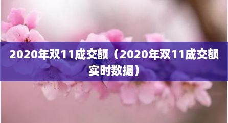 2020年双11成交额（2020年双11成交额实时数居）