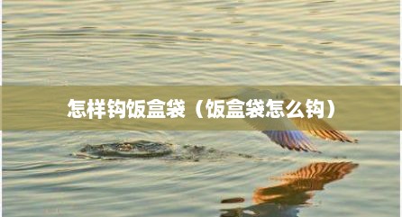 怎样钩饭盒袋（饭盒袋怎么钩）