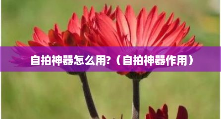 自拍神器怎么用?（自拍神器作用）