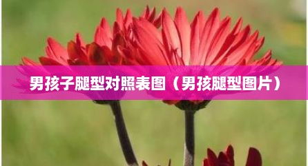 男孩子腿型对照表图（男孩腿型图片）