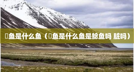 鮰鱼是什么鱼（鮰鱼是什么鱼是鲶鱼吗 脏吗）