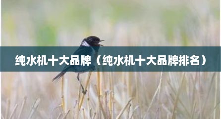 纯水机十大品牌（纯水机十大品牌排名）