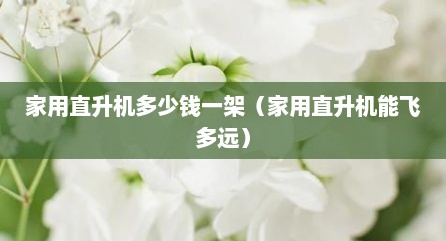 家用直升机多少钱一架（家用直升机能飞多远）