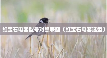 红宝石电容型号对照表图（红宝石电容选型）