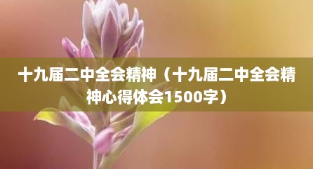 十九届二中全会精神（十九届二中全会精神心地体会1500字）