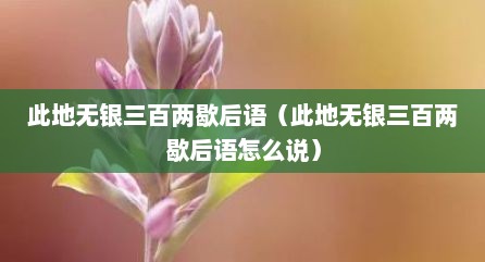 此地无银三百两歇后语（此地无银三百两歇后语怎么说）