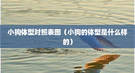 小狗体型对照表图（小狗的体型是什么样的）