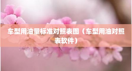车型用油量标准对照表图（车型用油对照表软件）