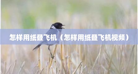 怎样用纸叠飞机（怎样用纸叠飞机视频）