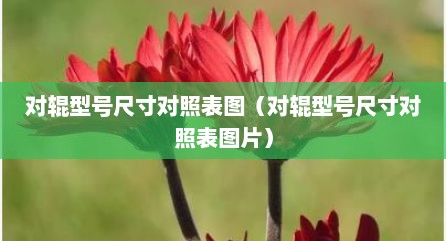 对辊型号尺寸对照表图（对辊型号尺寸对照表图片）