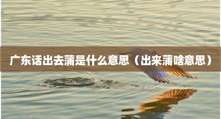 广东话出去蒲是什么意思（出来蒲啥意思）