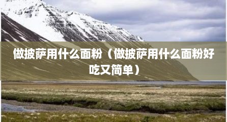做披萨用什么面粉（做披萨用什么面粉好吃又简单）