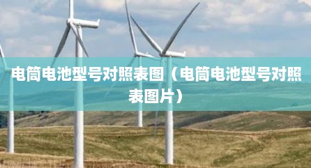 电筒电池型号对照表图（电筒电池型号对照表图片）