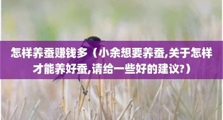 怎样养蚕赚钱多（小余想要养蚕,关于怎样才能养好蚕,请给一些好的建议?）