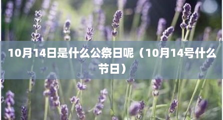 10月14日是什么公祭日呢（10月14号什么节日）