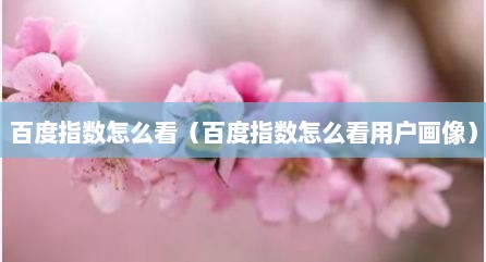 百度指数怎么看（百度指数怎么看用户画像）