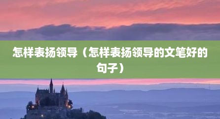 怎样表扬领导（怎样表扬领导的文笔好的句子）